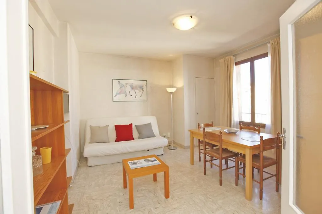 Grand Studio 30M² En Centre-Ville A Nice Apartment